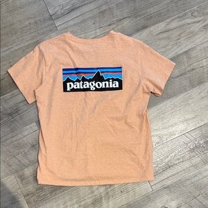 Patagonia Peach Short Sleeve Tee with Mountain Logo